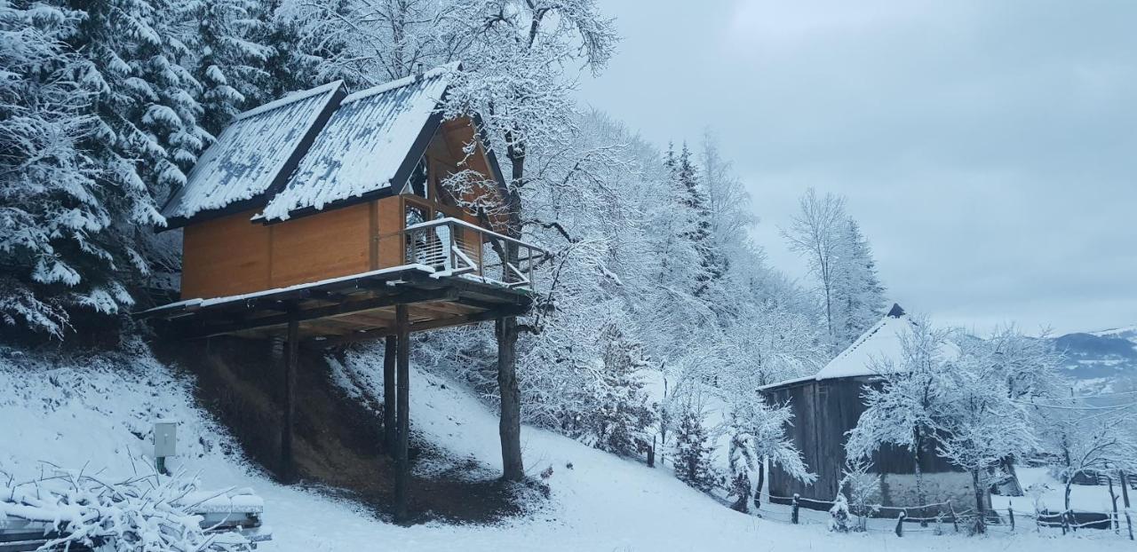 Tree House - Tara Place Mojkovac Exterior photo