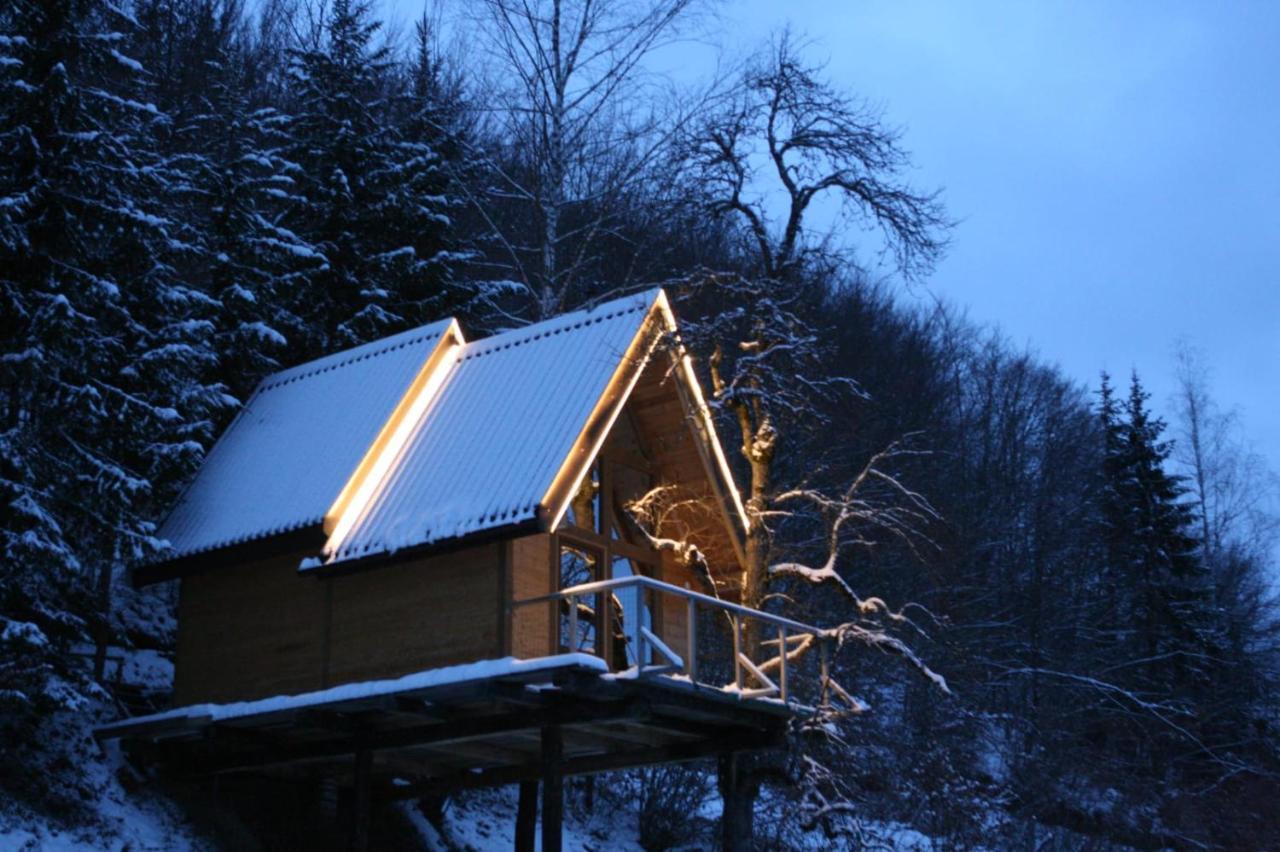 Tree House - Tara Place Mojkovac Exterior photo