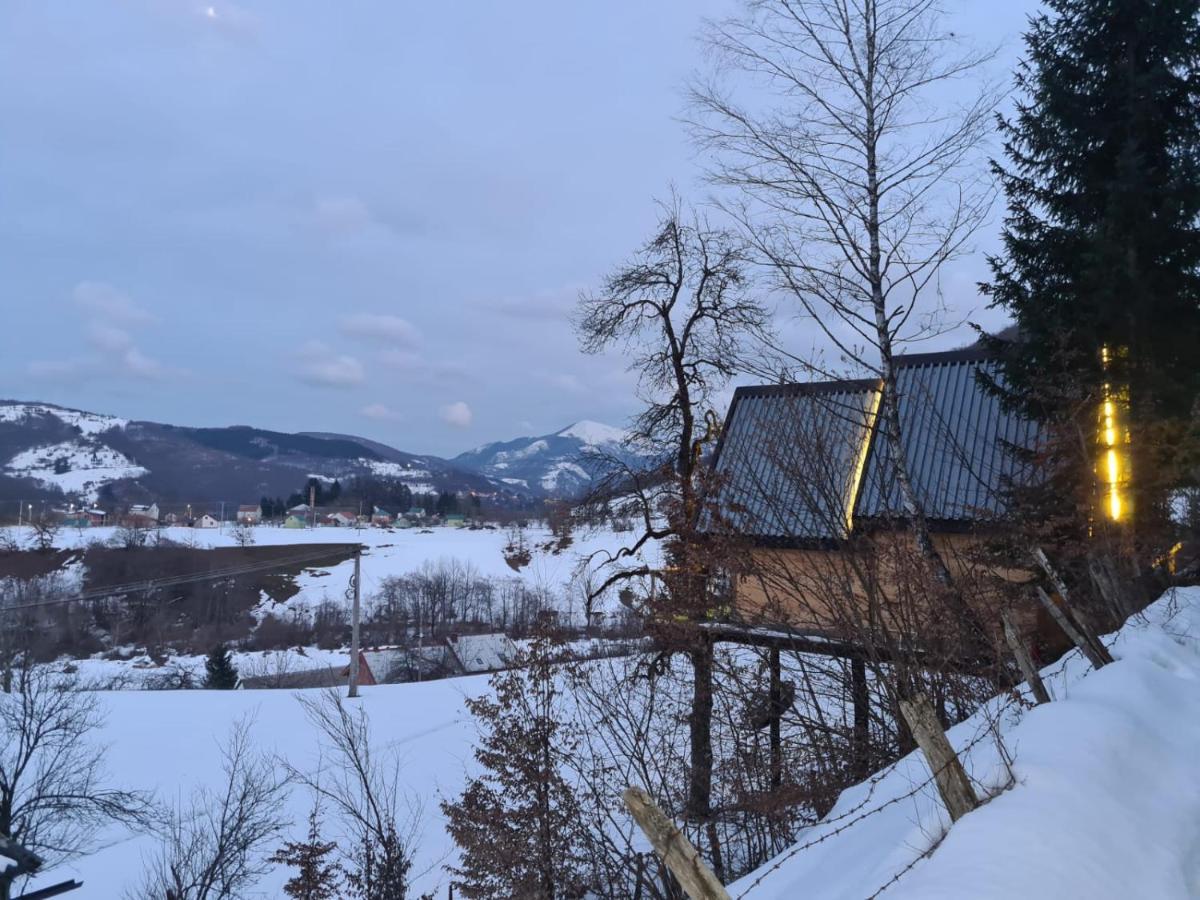 Tree House - Tara Place Mojkovac Exterior photo