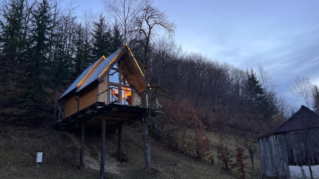 Tree House - Tara Place Mojkovac Exterior photo