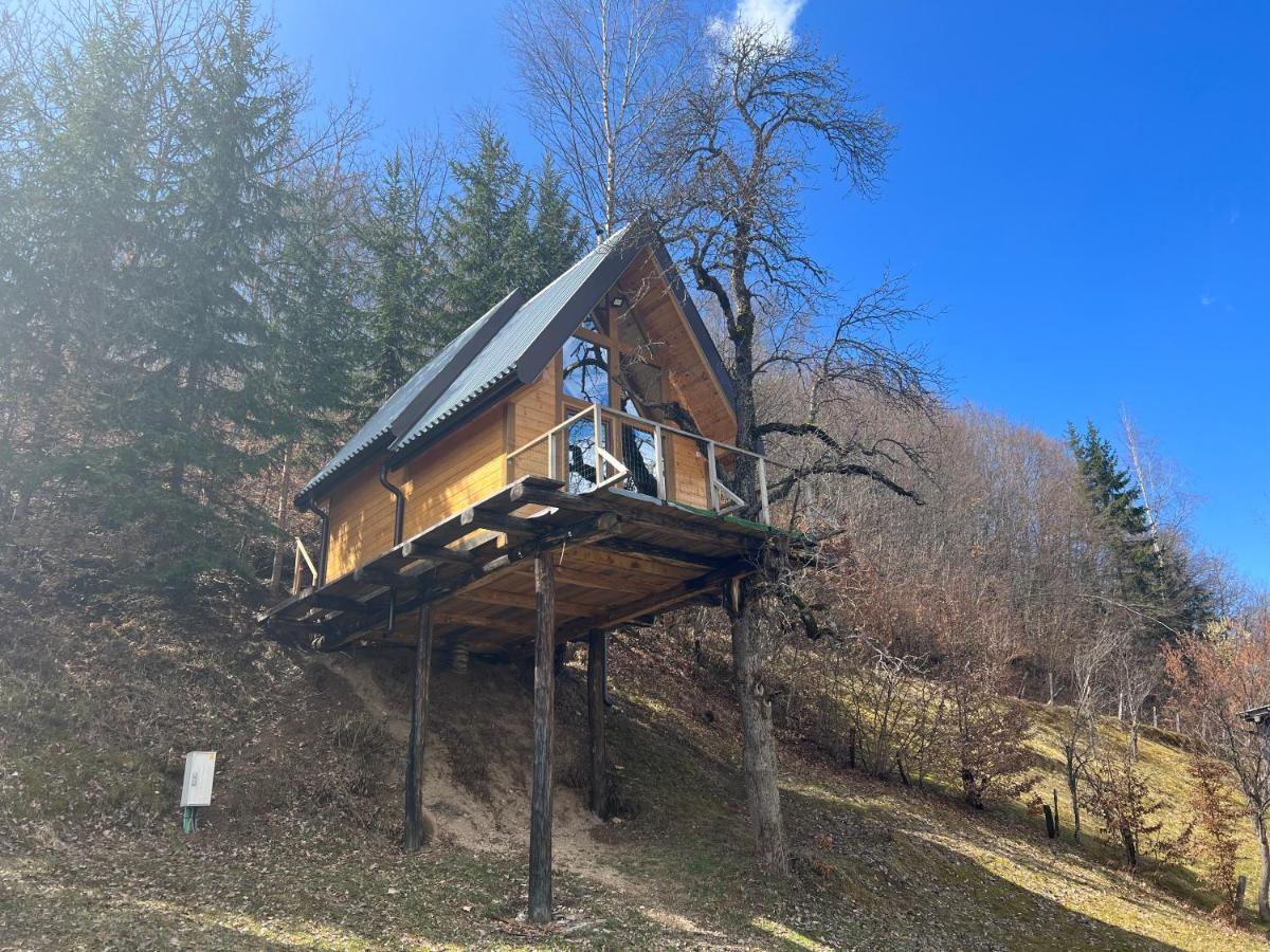 Tree House - Tara Place Mojkovac Exterior photo