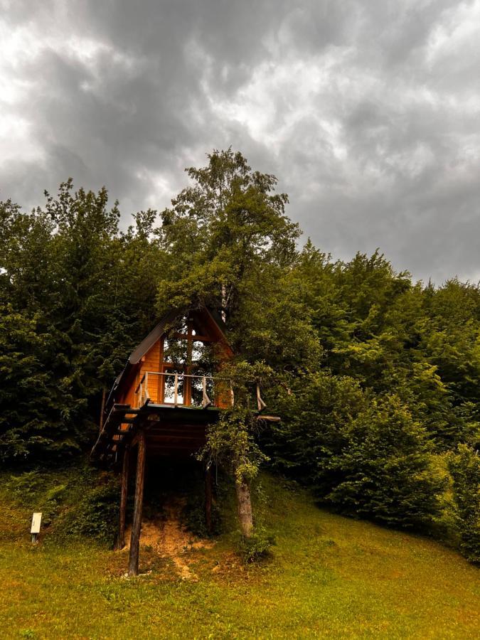 Tree House - Tara Place Mojkovac Exterior photo