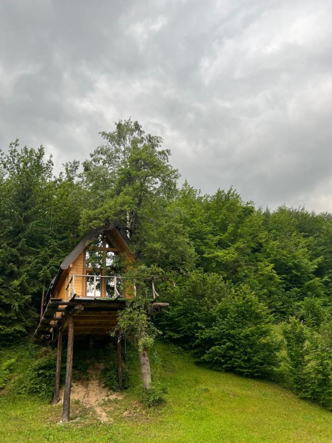 Tree House - Tara Place Mojkovac Exterior photo